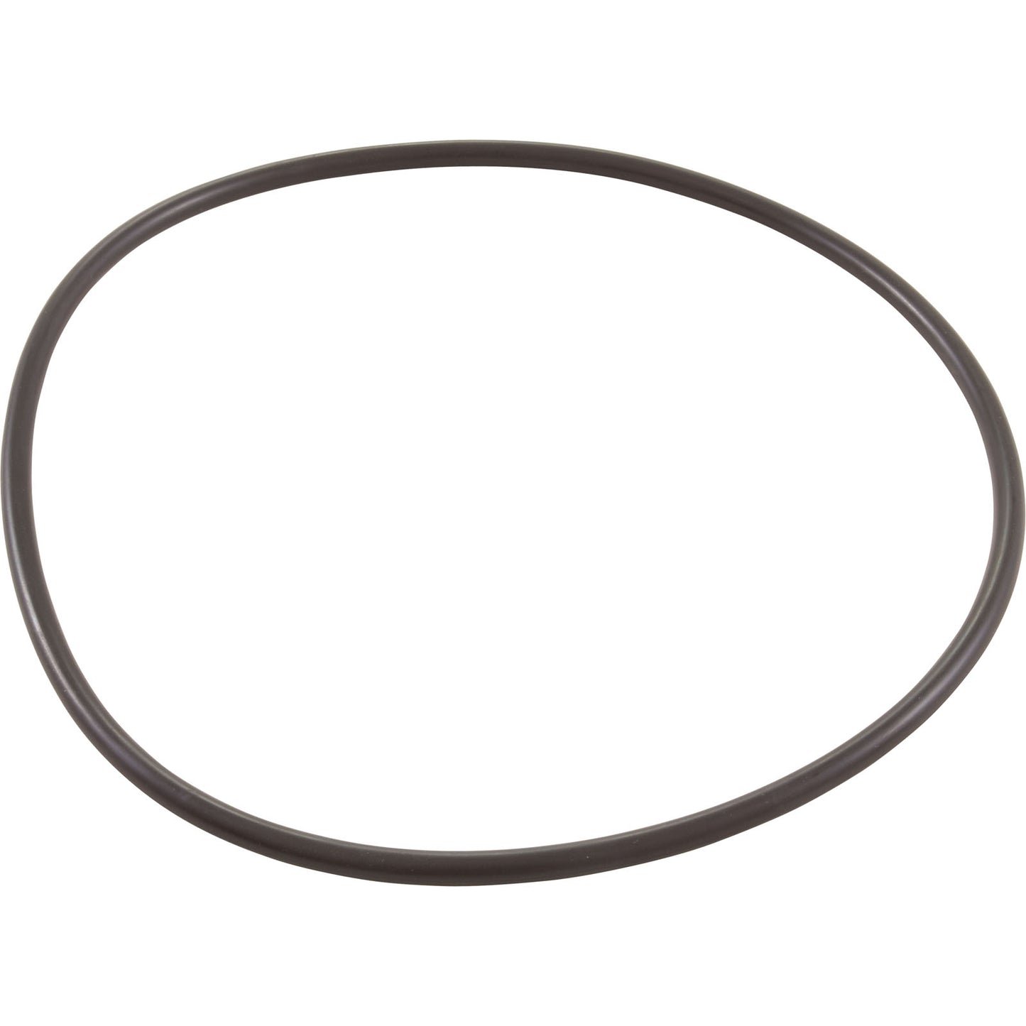 Jandy Pro Series O-Ring, Backplate, 60Hz