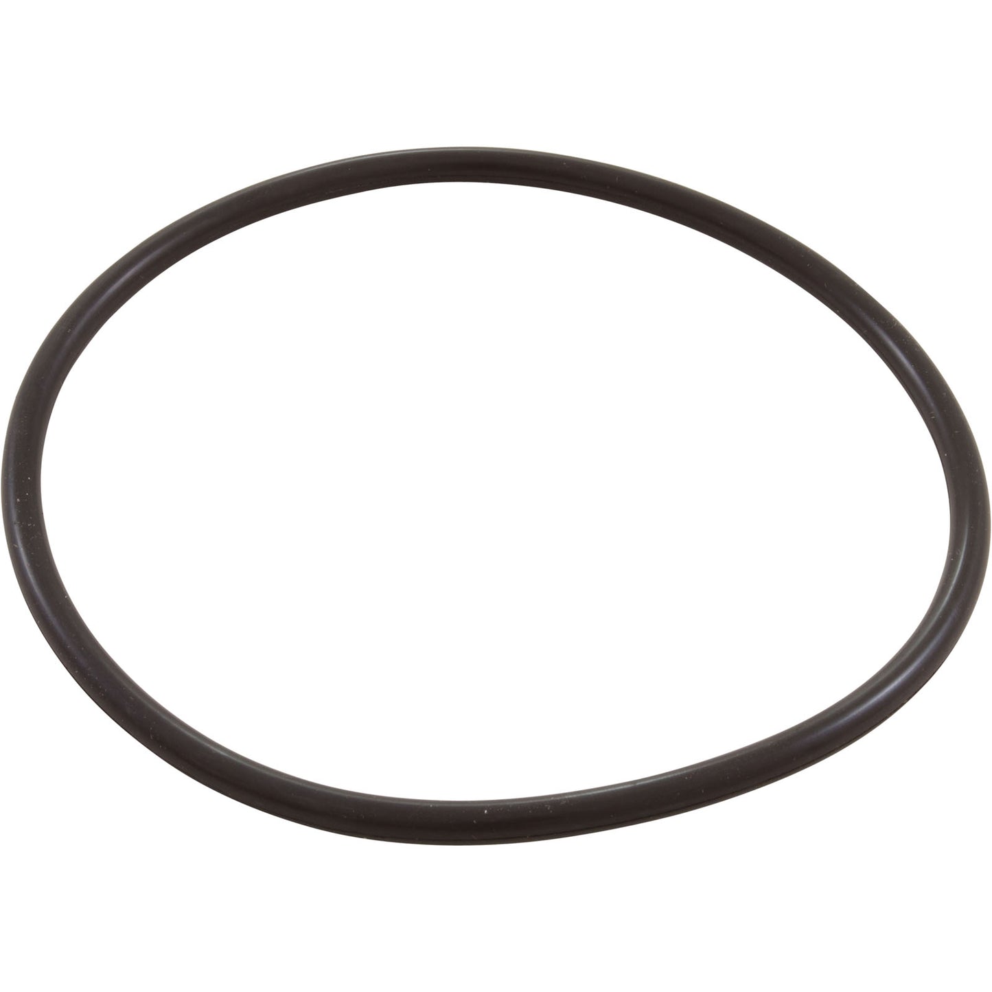 Zodiac Nature2 Pro G Plus Chlorine Chamber O-Ring