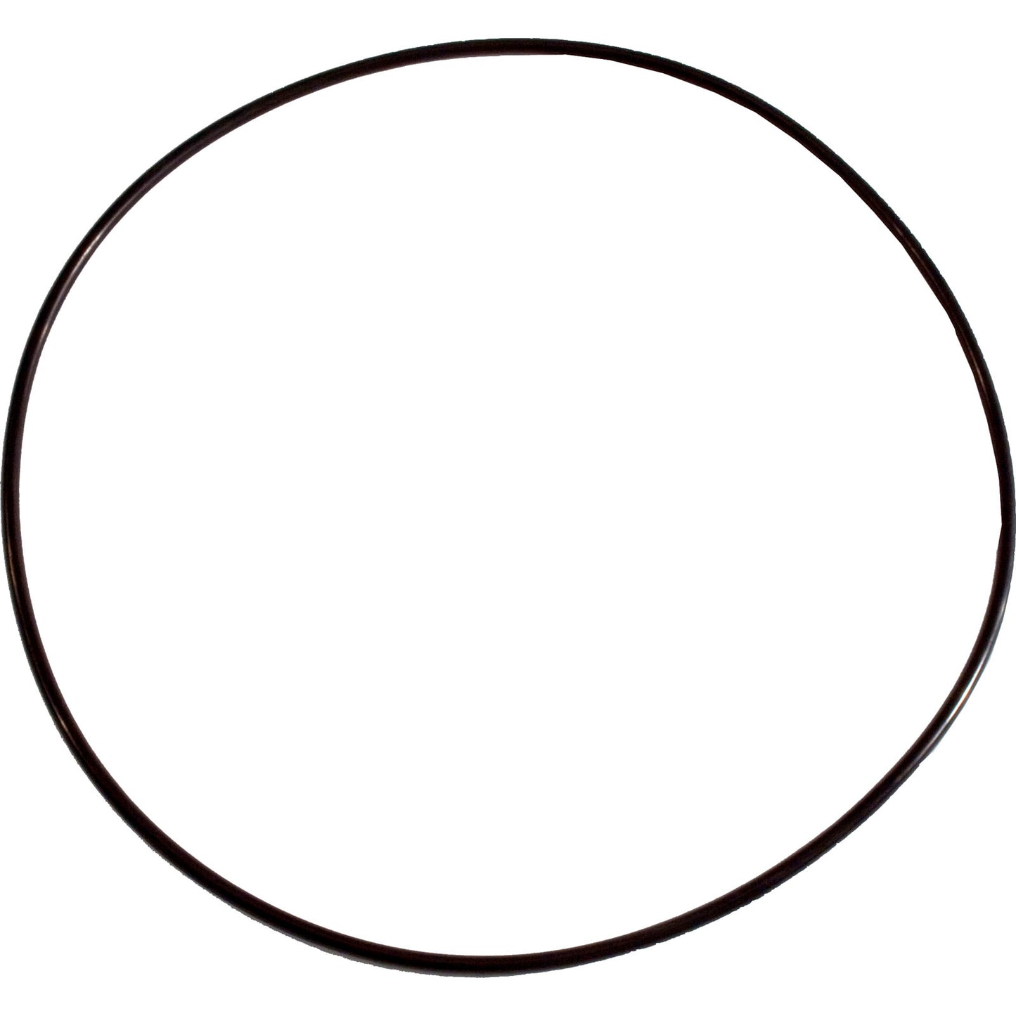 Joint torique, Pentair Purex Whisperflo, plaque d'étanchéité, avant 6/94