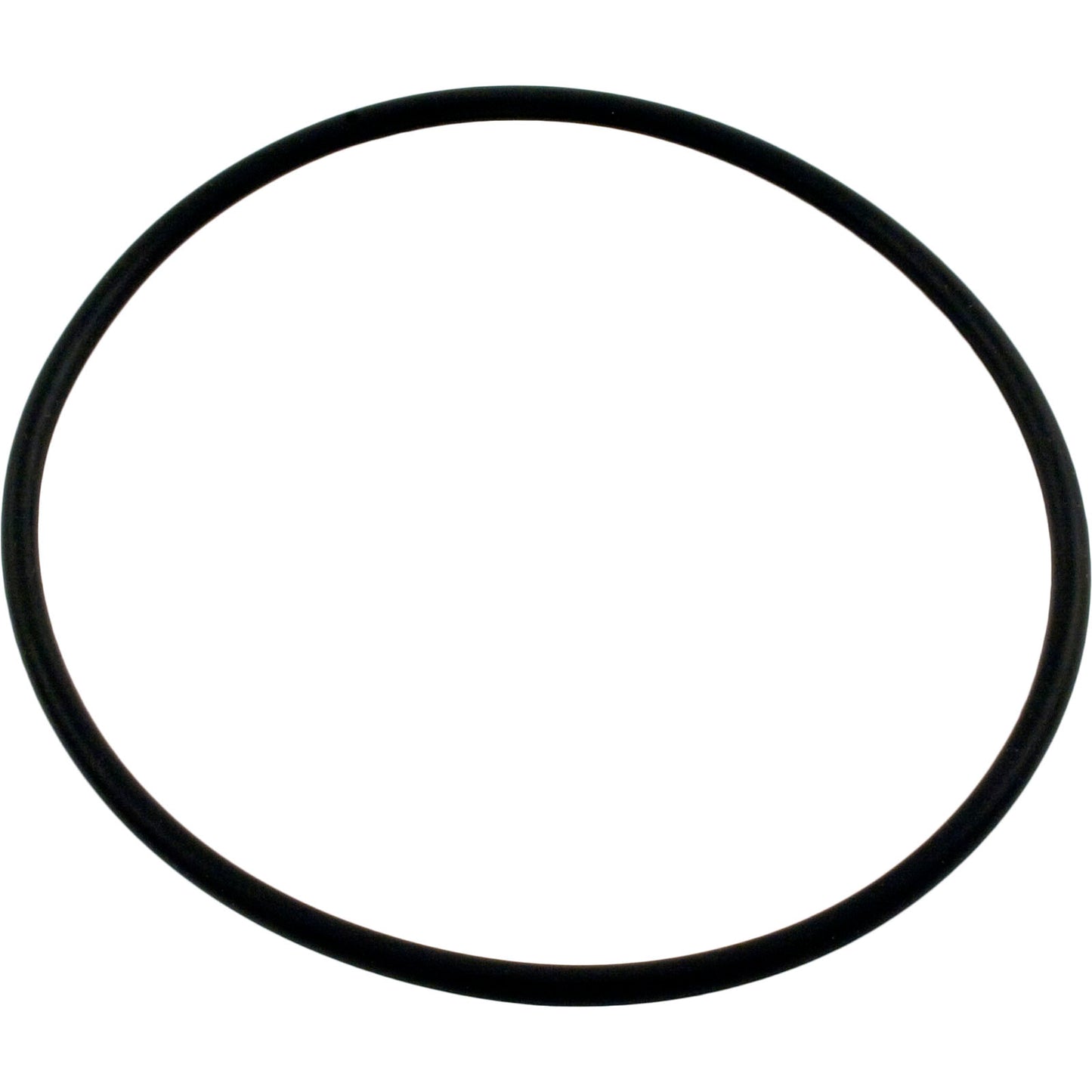 O-Ring, Waterway Serviceable Check Valve, Cover