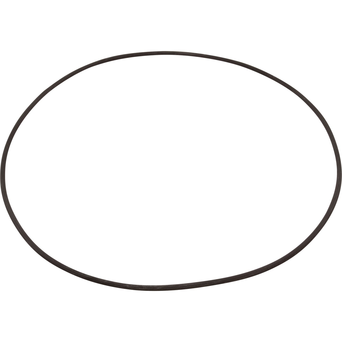 O-Ring, Buna-N, Astral, Rapidpool Filter, Collar