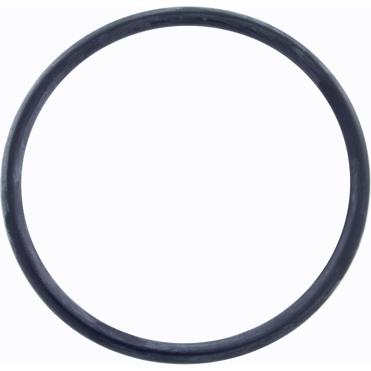O-Ring, Zodiac Jandy AquaPure Ei, Lock Ring