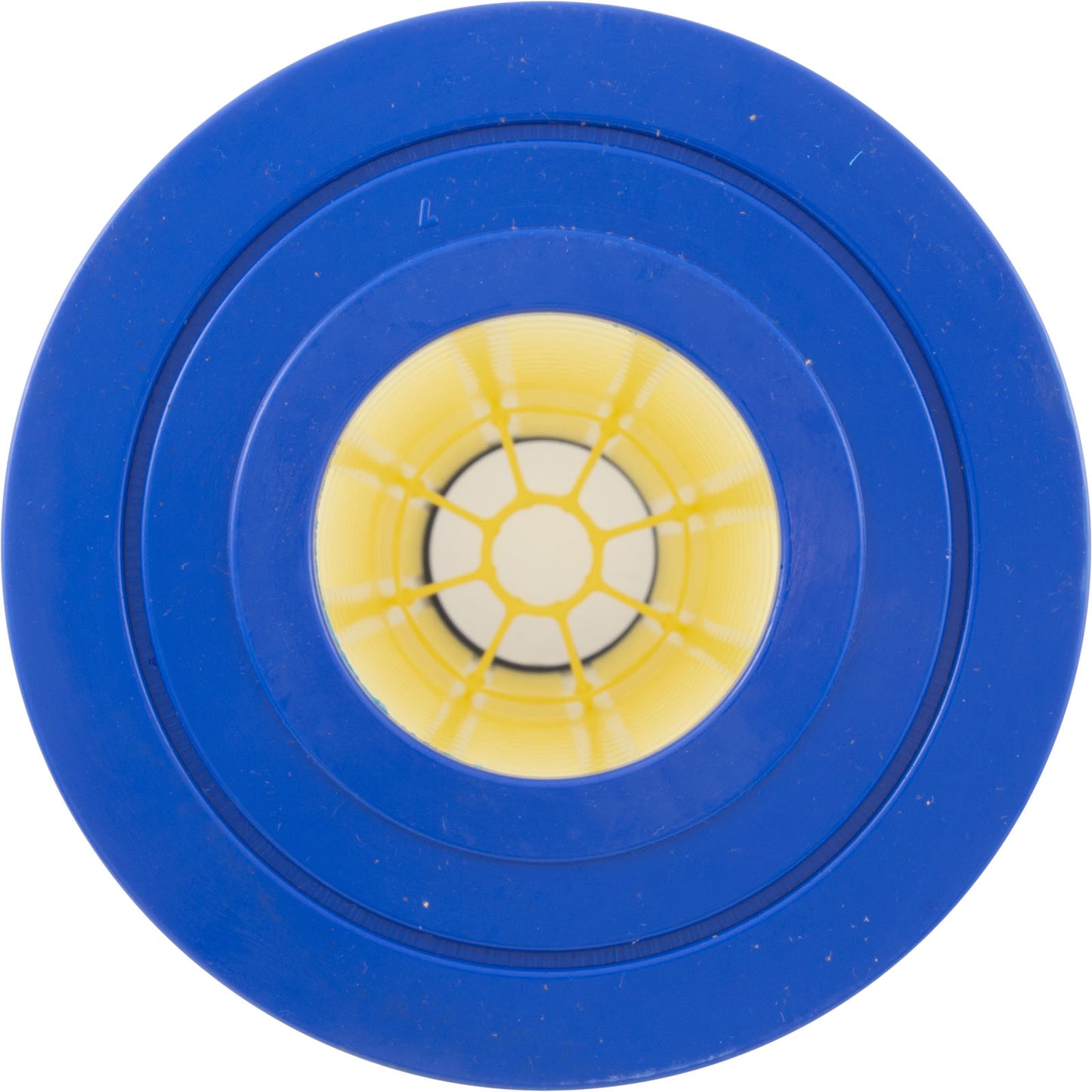 Paquete de 4 cartuchos Pentair Clean & Clear Plus 420