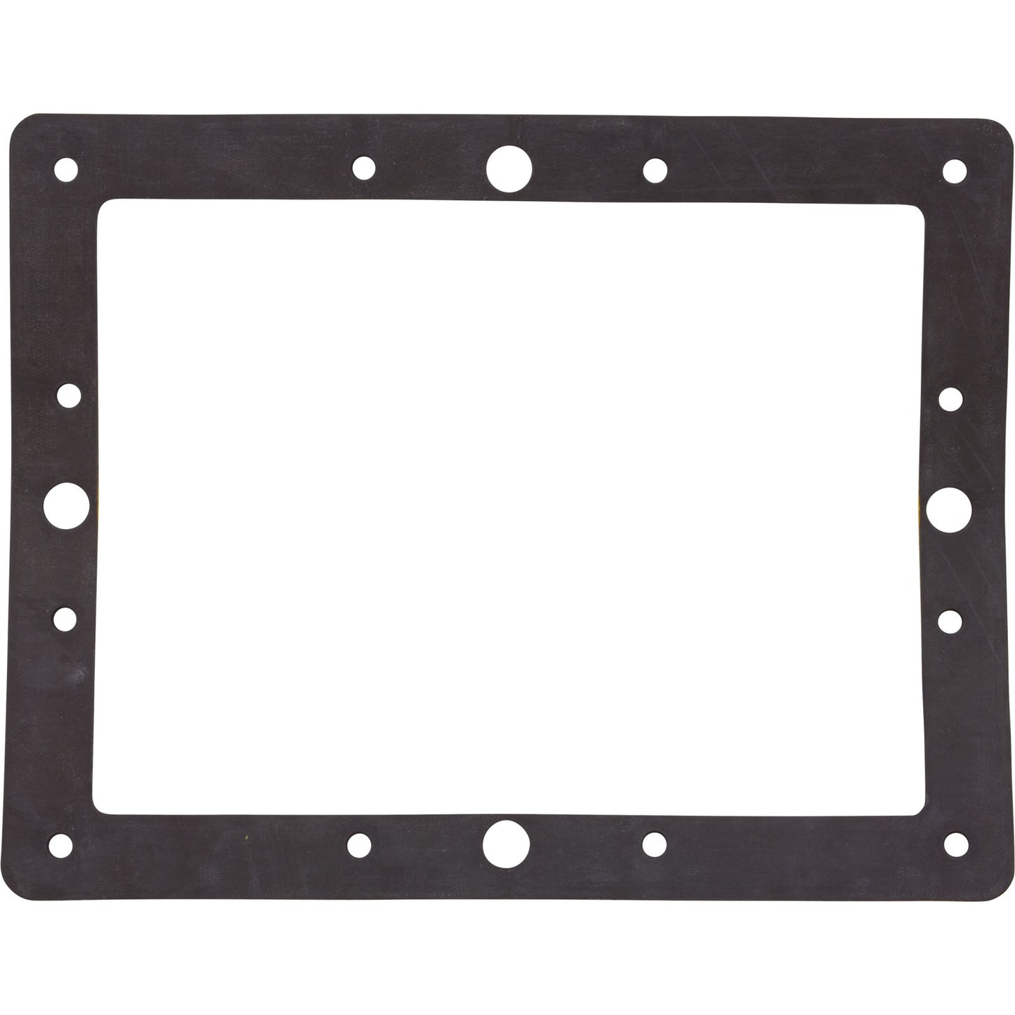 Gasket, Astral, Small Skimmer