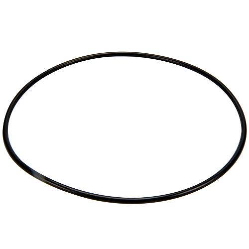14971-SM20E7 Pentair O-Ring, Cover