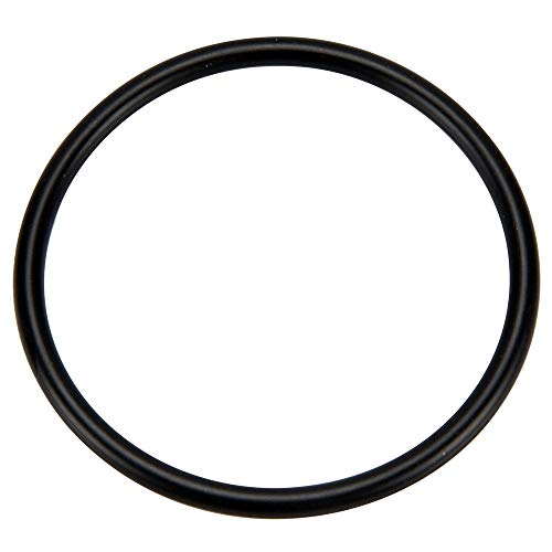 273062 Pentair Pentair O-Ring For 2" Pvc