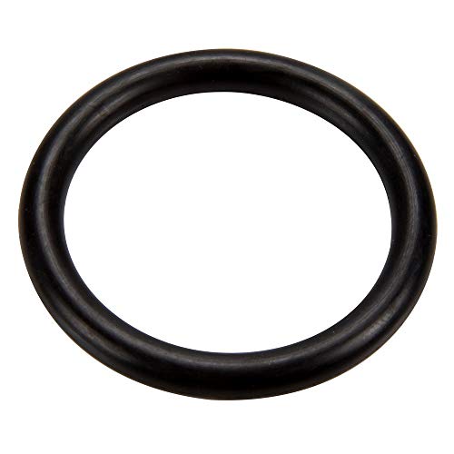 273090 Pentair Pentair Slide Valve Stem Oring