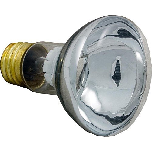 79108100 Pentair Floodlamp, Med. Base, 100