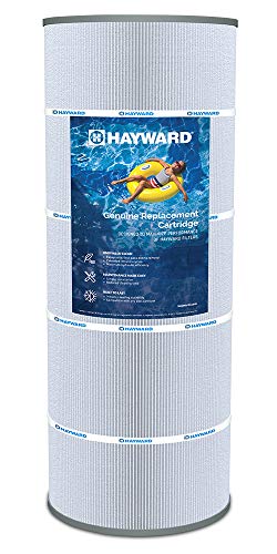 CX550RE Replacement Pool Filter Cartridge