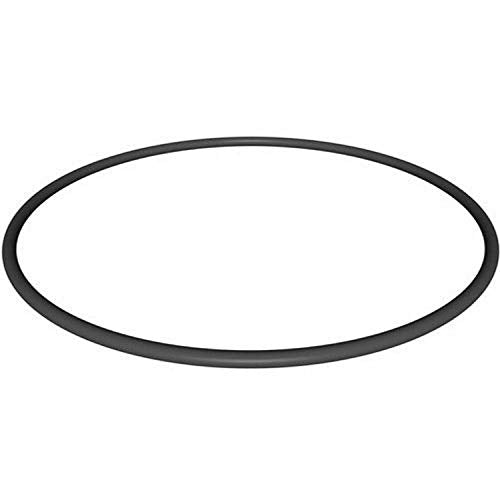 CX900F Hayward Filter Head O-Ring