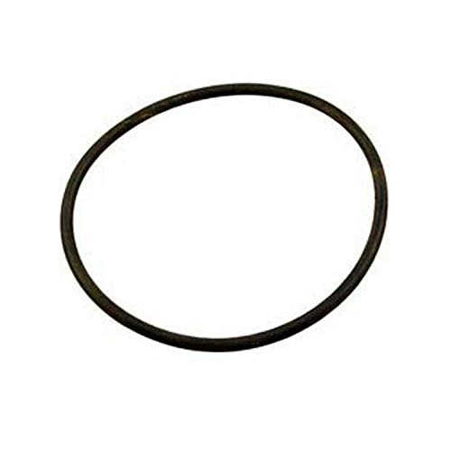 DEX360M Hayward O-Ring 1 1/2" C3000/4000