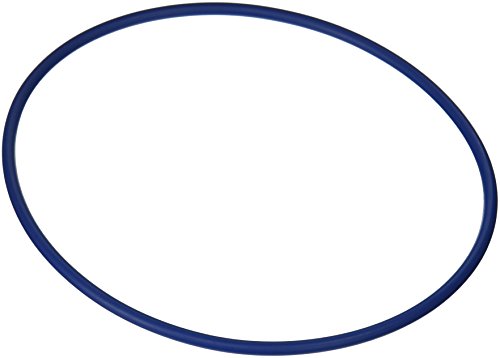GMX600F Hayward Valve / Tank O-Ring