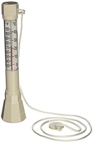 R141200 Pentair #136 Floating Thermometer