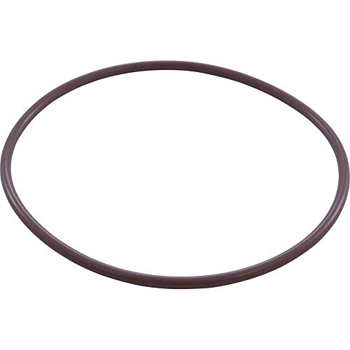R172223Z Pentair O-Ring, Housing Rainbow