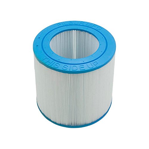 R173213 Replacement Pool Filter Cartridge