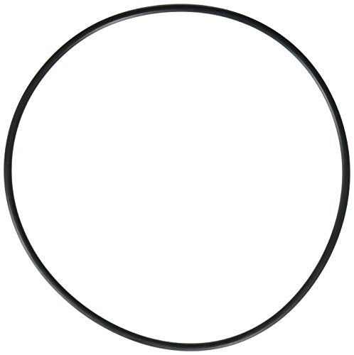 SPX0704F Hayward Cover O-Ring