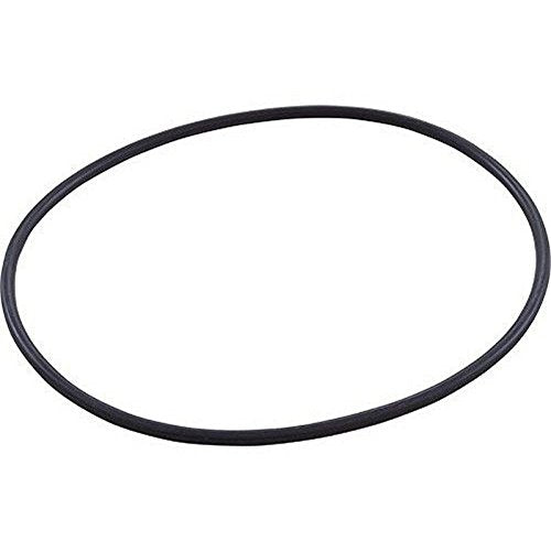 SPX0710XZ5 Hayward Housing O-Ring