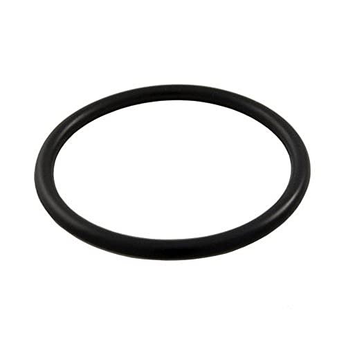 SPX1022CZ2 Hayward O-Ring 1.5" Mpt Winter Plug