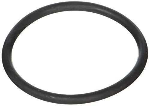 SPX4000Z1 Hayward Union O Ring