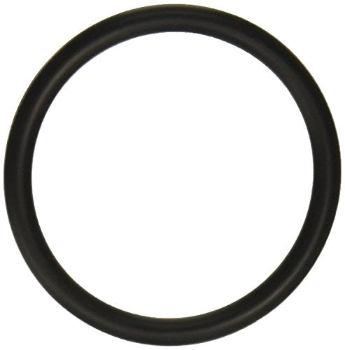 SPX5500K Hayward Strainer O Ring
