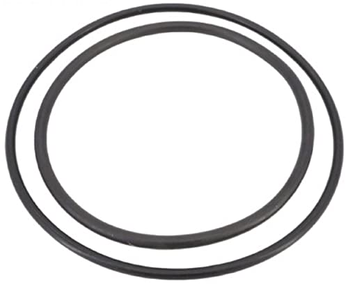 ZBR12200 Pentair O-Ring Kit