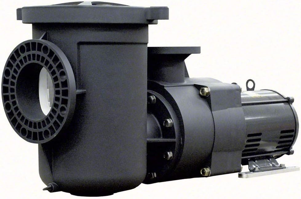 Pentair Water Pool And Spa 340238 10 Hp Pool Pump, 230-Volt