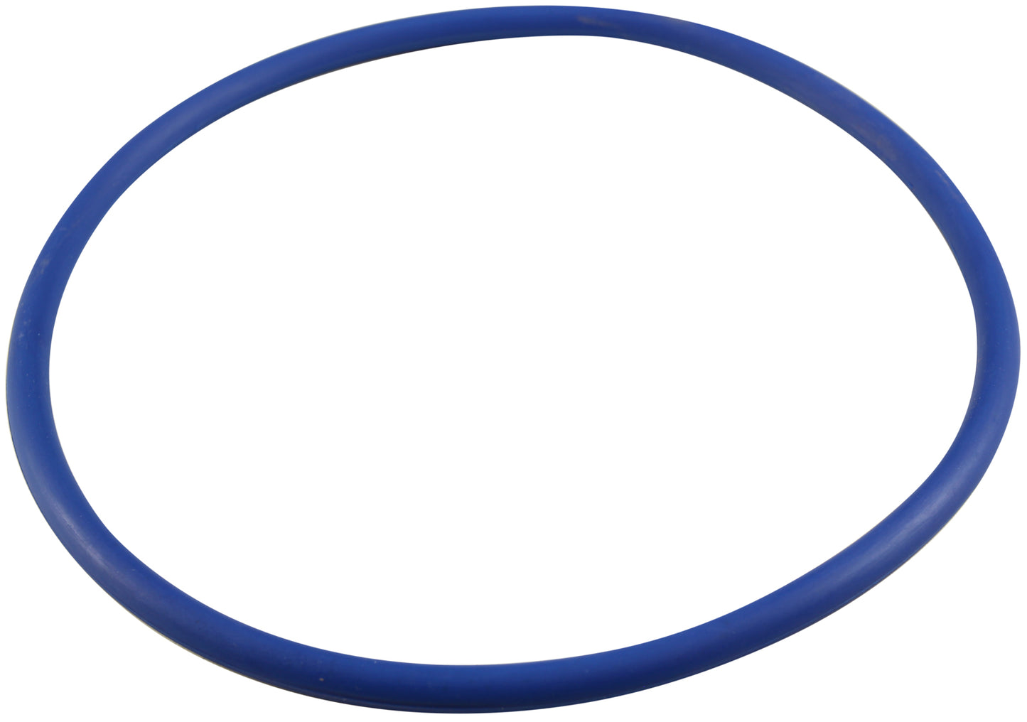 O-Ring, Pentair IF3/IP3 VSF, Trap Lid