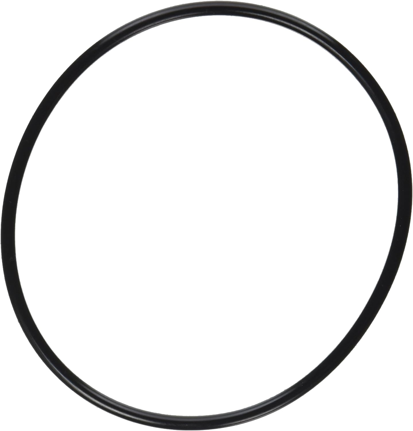 O-Ring Lid, SuperFlo/OptiFlo Pump, Pentair, 357255Z