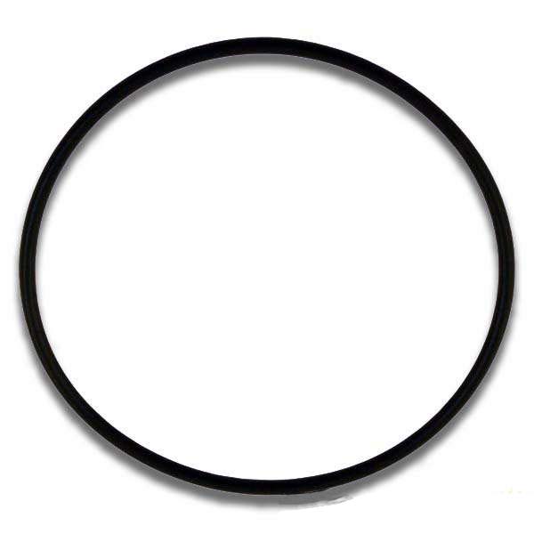51016200Z O-ring #2-152 Pentair Diverter Valve Cover