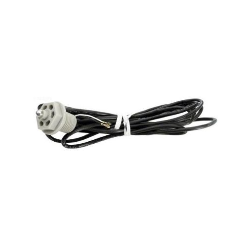 Temp Sensor, 12' W/Curl Finger