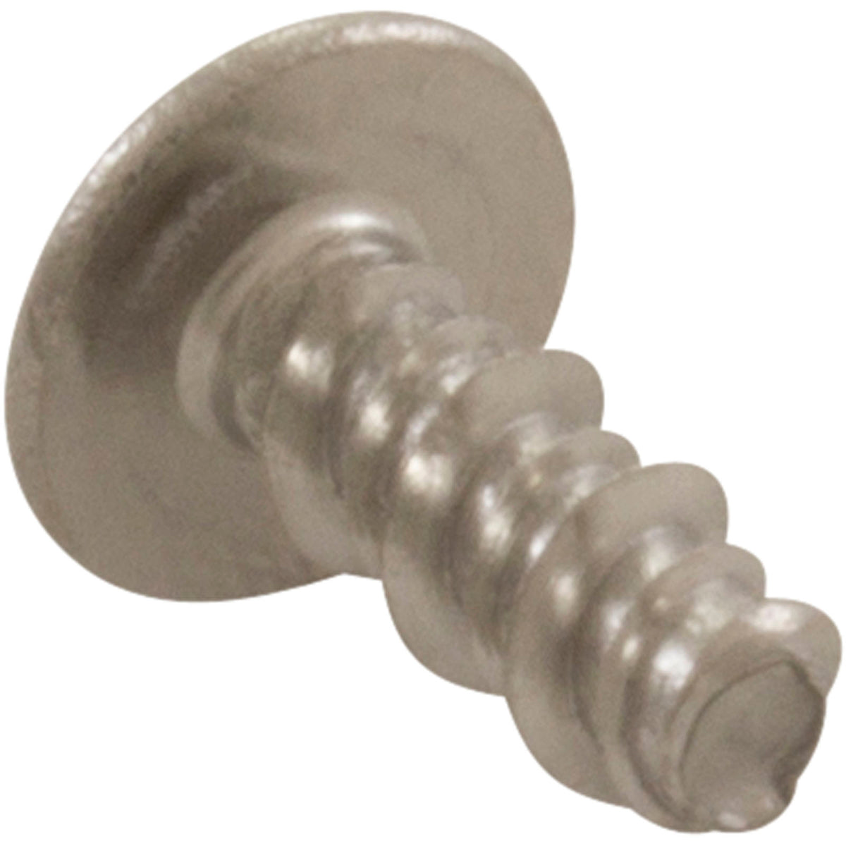 Aqua Products 2260 Stainless Steel Screw, Size S2, view 2