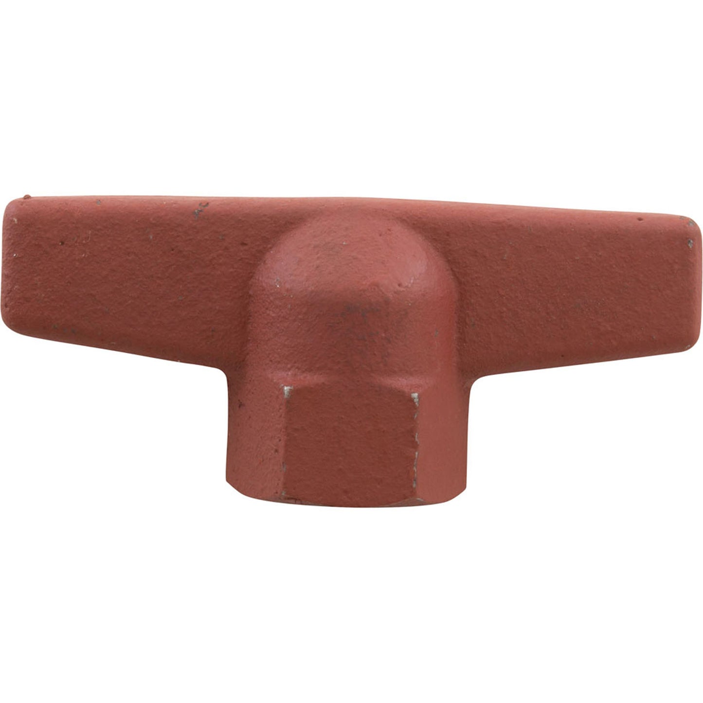 Wing Nut Comm Strainer