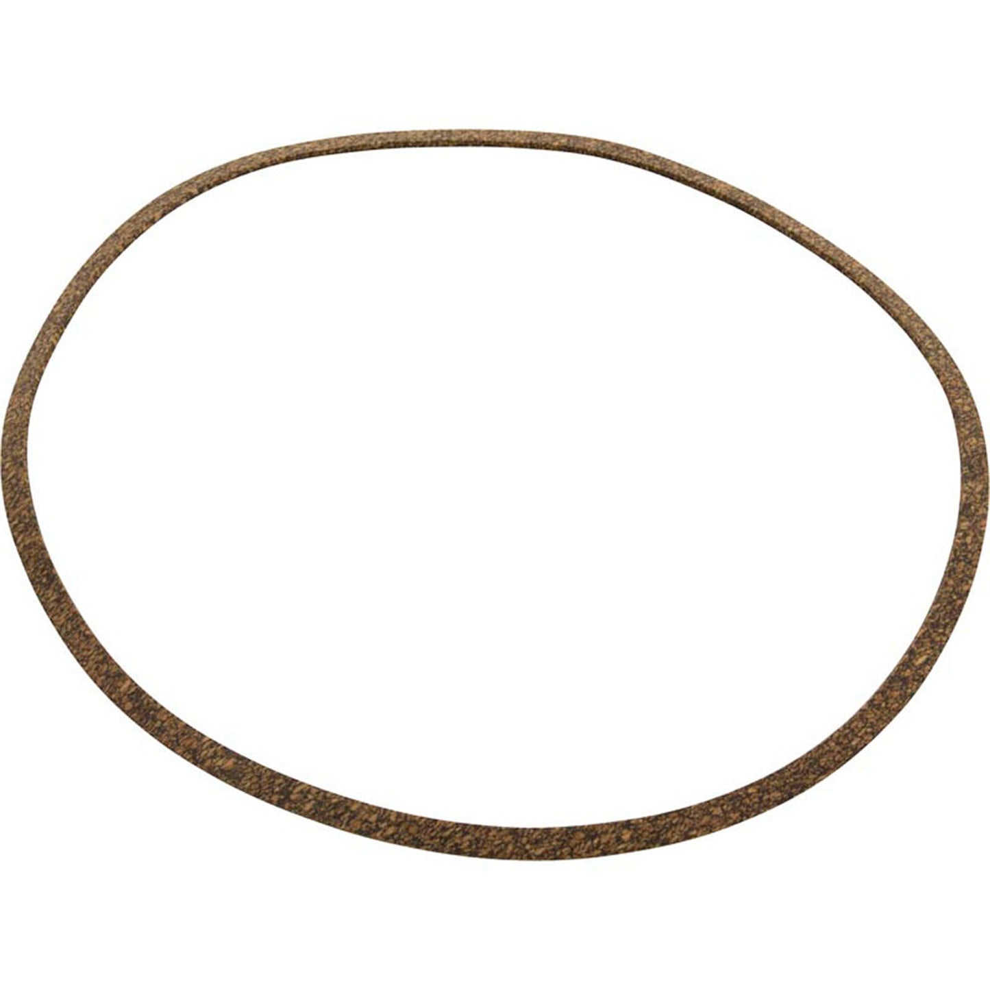 Gasket, Pentair, J-Series High Head, Volute