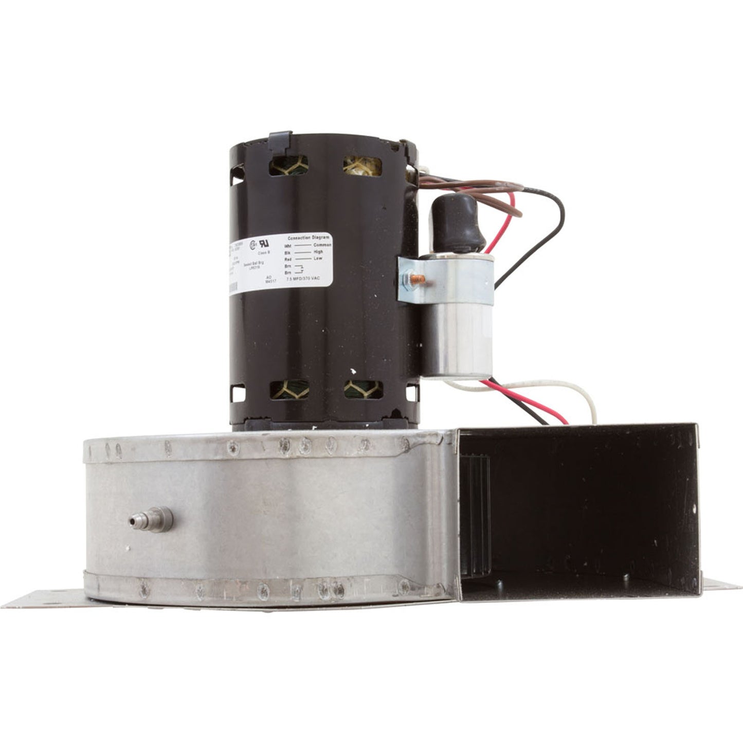 Combustion Blower, 110V