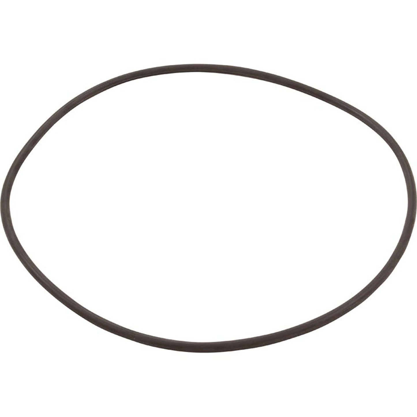 O-Ring for Filter Head