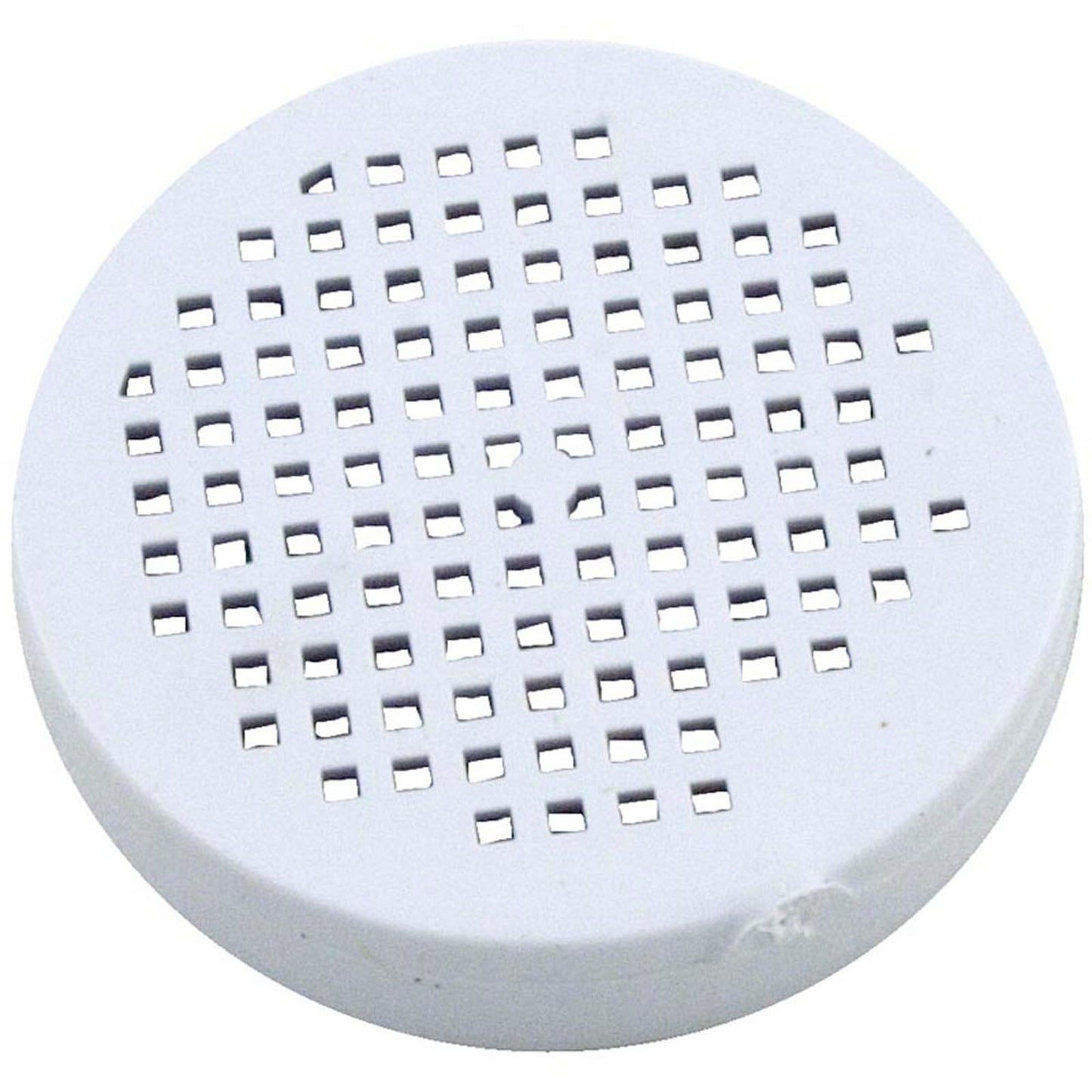 Check Valve Screen, Pentair Rainbow Bromine