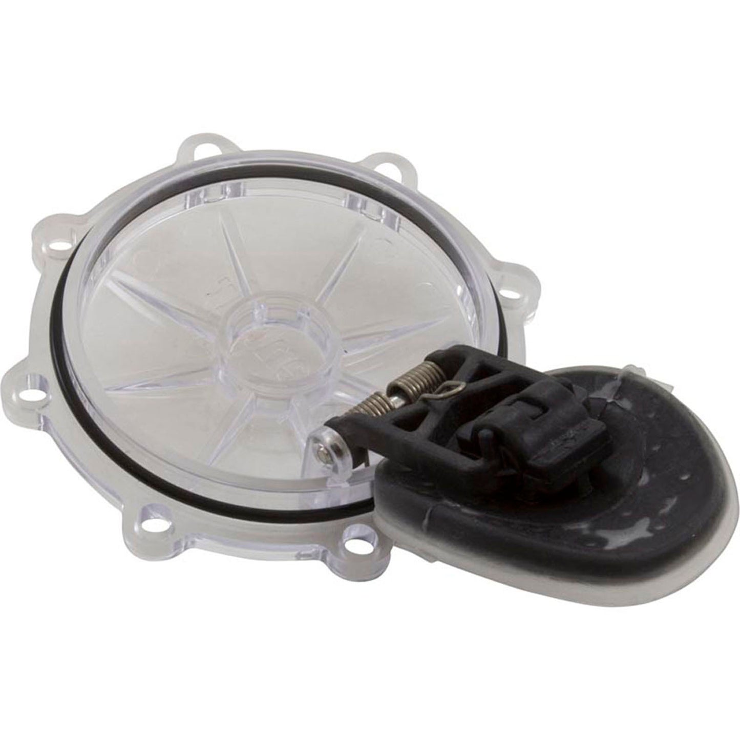 Rebuild Kit, Check Valve, Pentair CPVC 2"