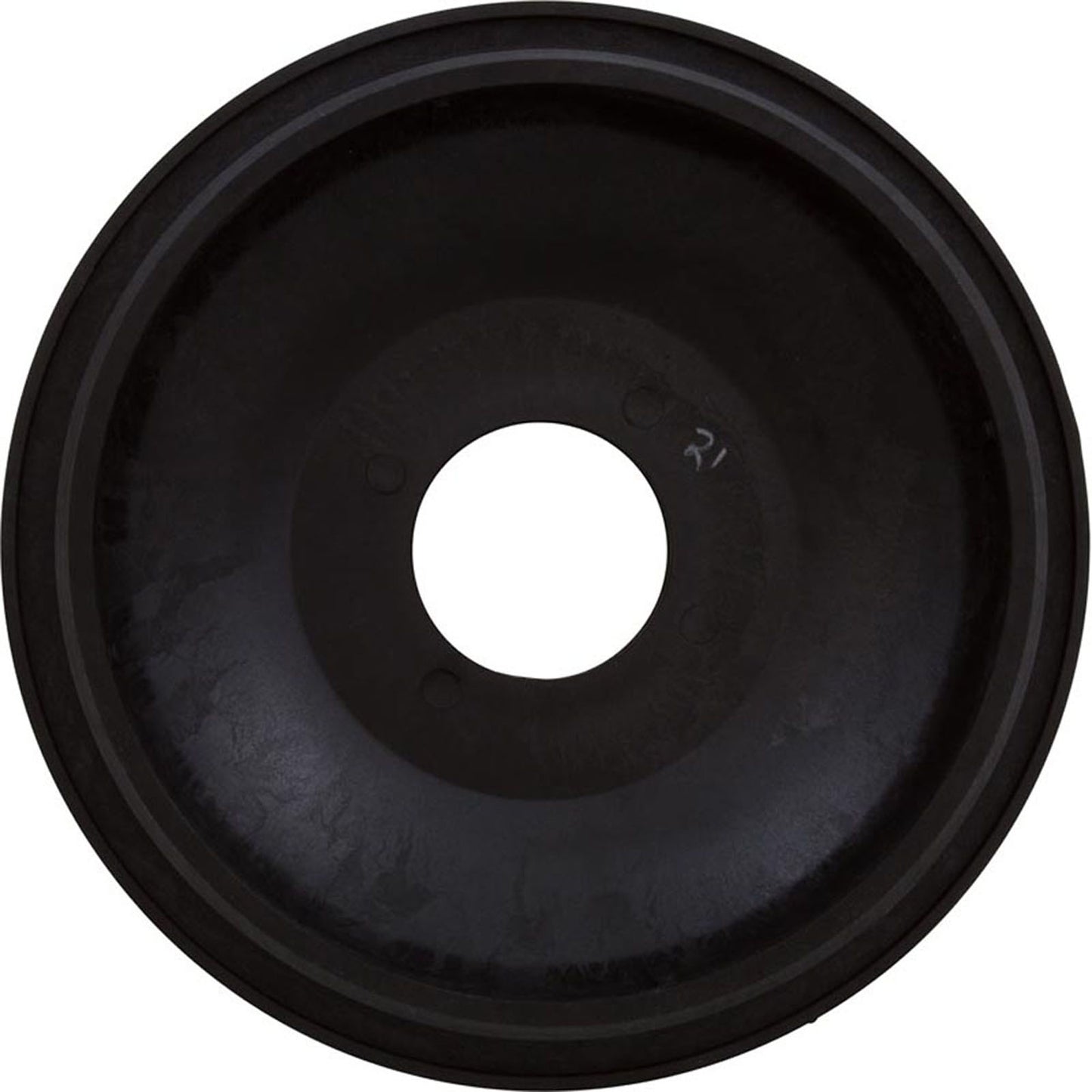 Tank Lid, Pentair, TR100C/TR140C/Triton C3, 8-1/2" Diameter