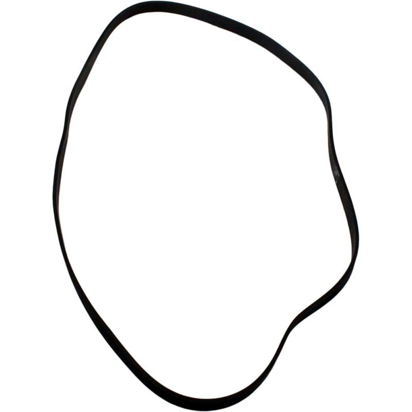 Gasket, Hayward Viper, Volute, 7-1/4"ID, 7-3/8"OD, After 2004