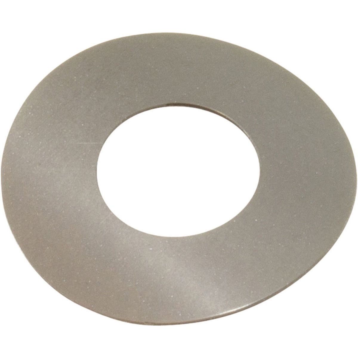 Gasket, Blue-White A-100 Chemical Pump, Head Spacer