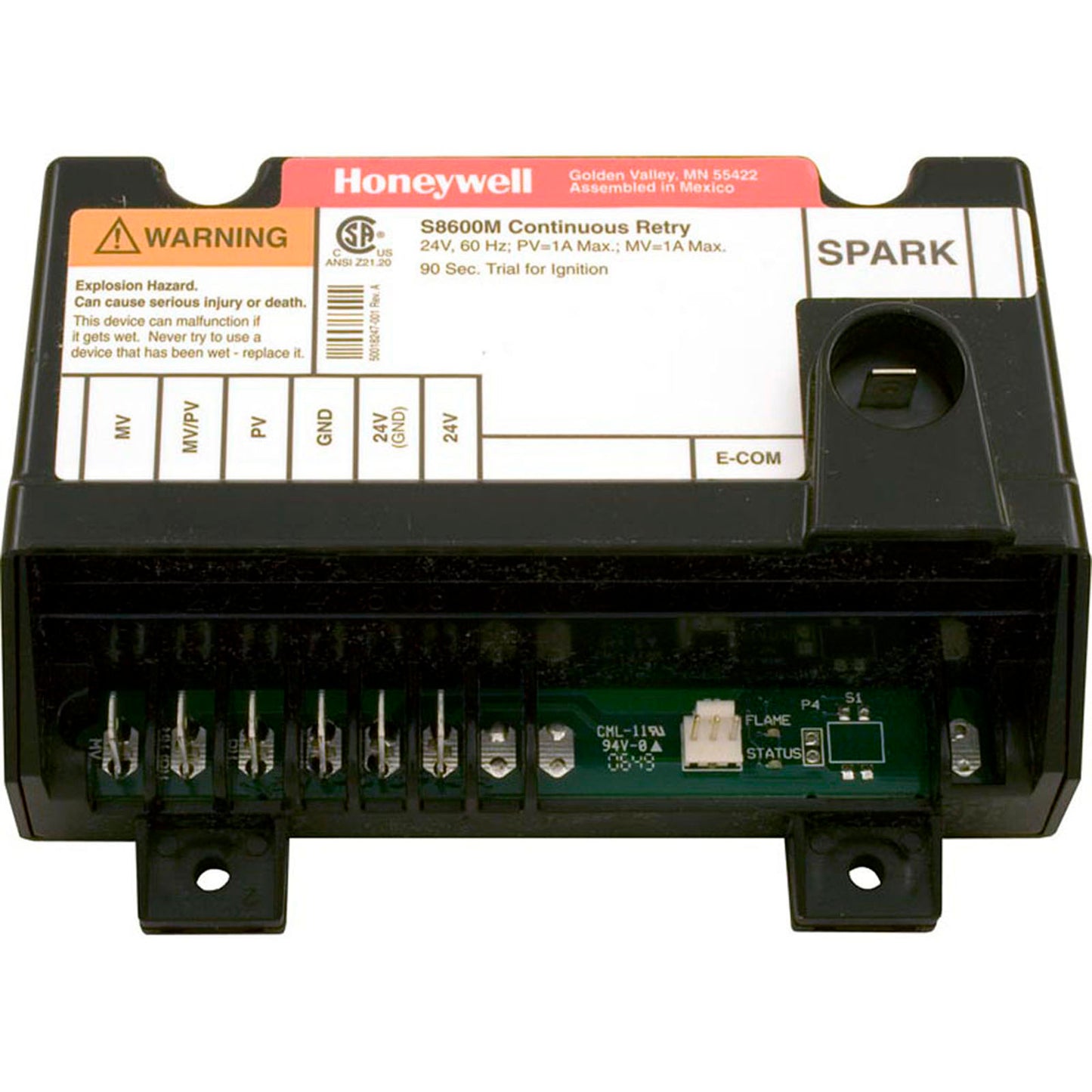 Module, Pentair Minimax/Minimax Plus/PowerMax/TI, Nat.