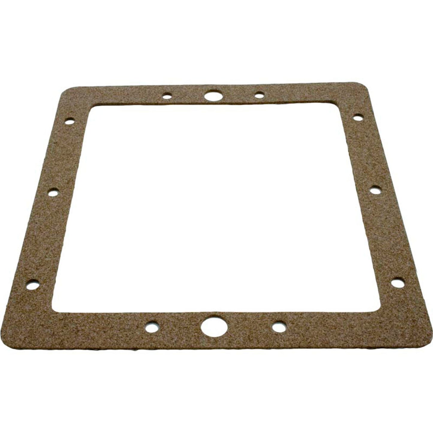 Gasket, Pentair American Products FAS Skimmer, Faceplate, Back