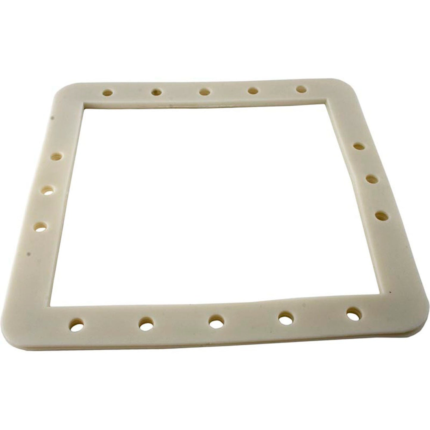 Gasket, Pentair HydroSkim Skimmer, Faceplate