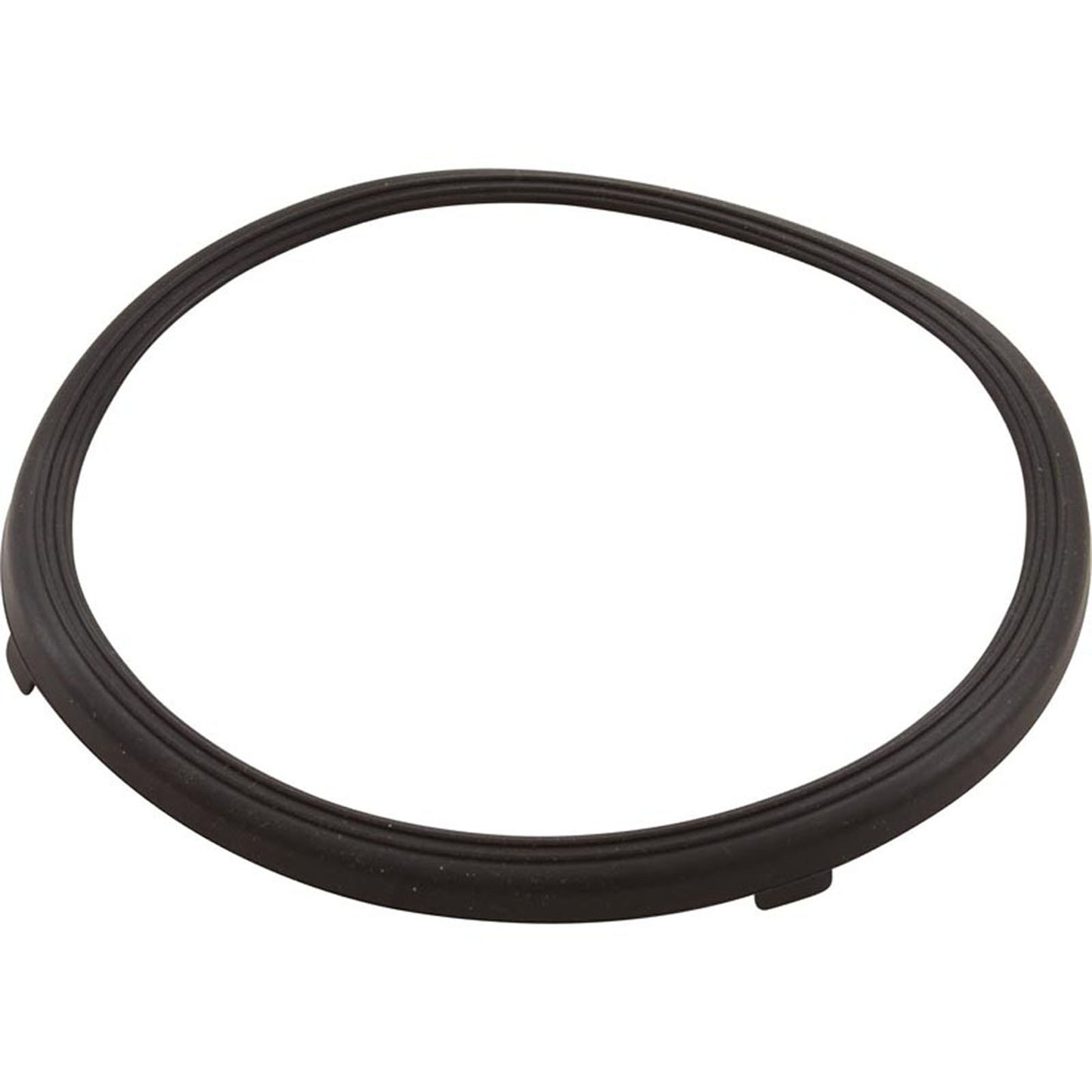 Gasket, Pentair AquaLumin III, Light Lens