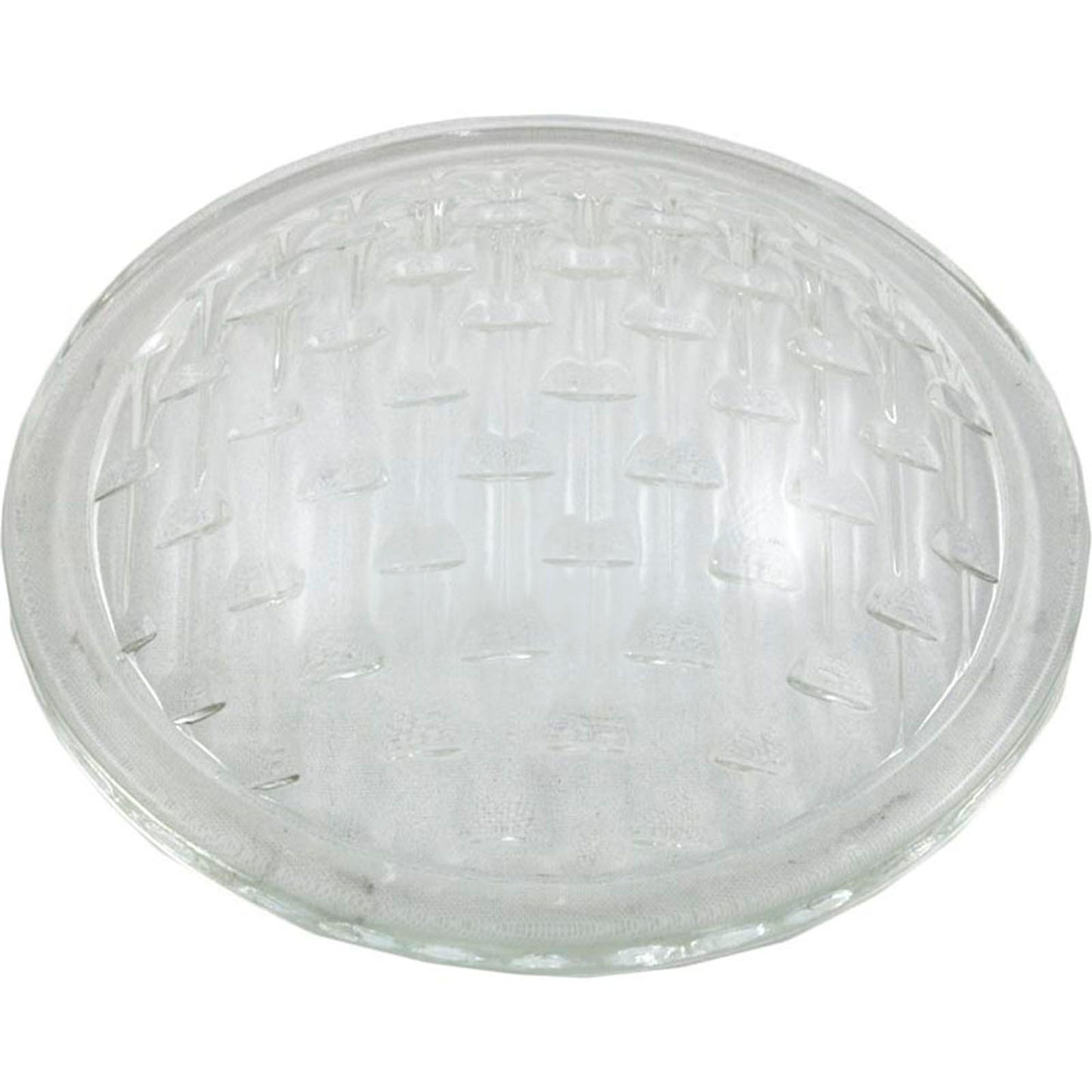 Light Lens, Pentair American Products AquaLight/Spa Brite