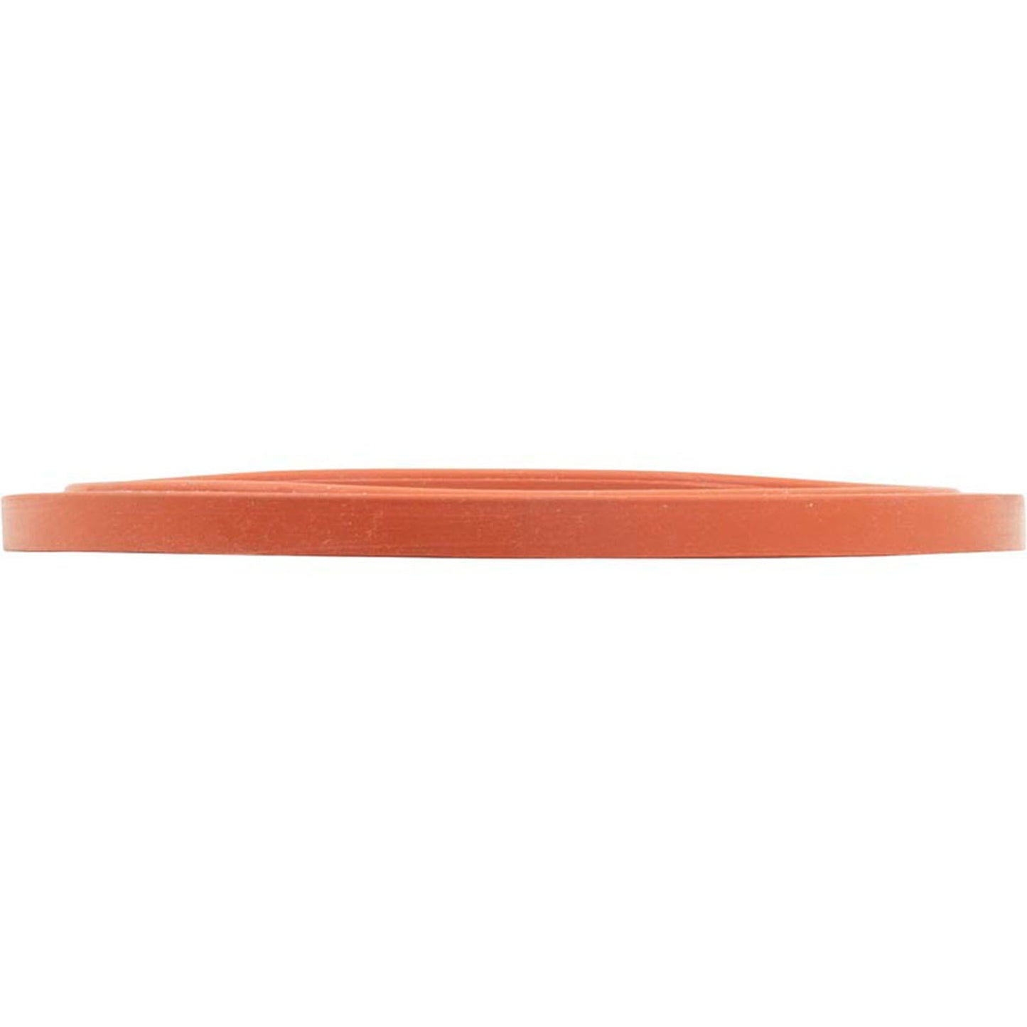 Gasket, SwimQuip Lens, Silicone, Extra Heavy Duty