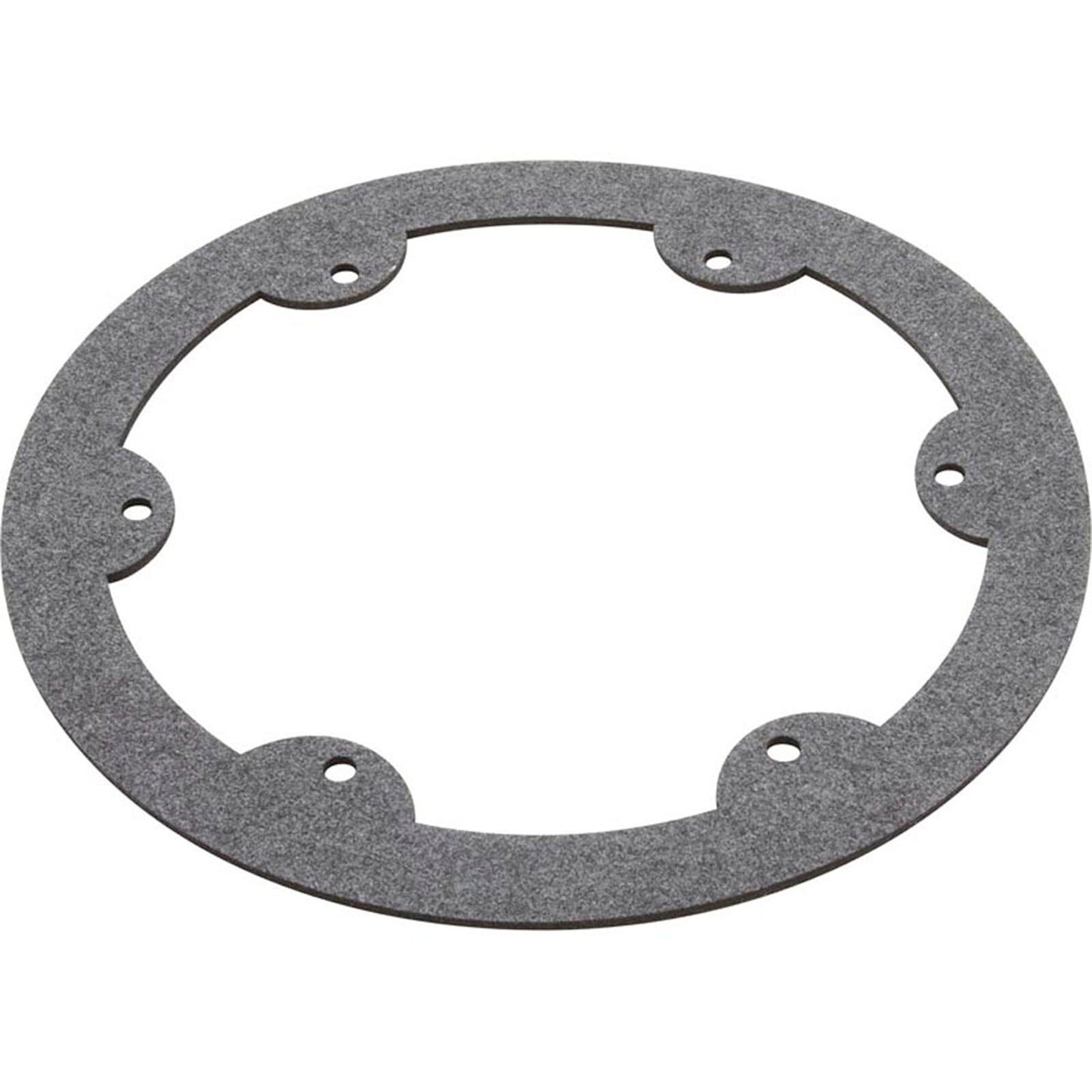Gasket, Hayward Astrolite II, Light Face Ring