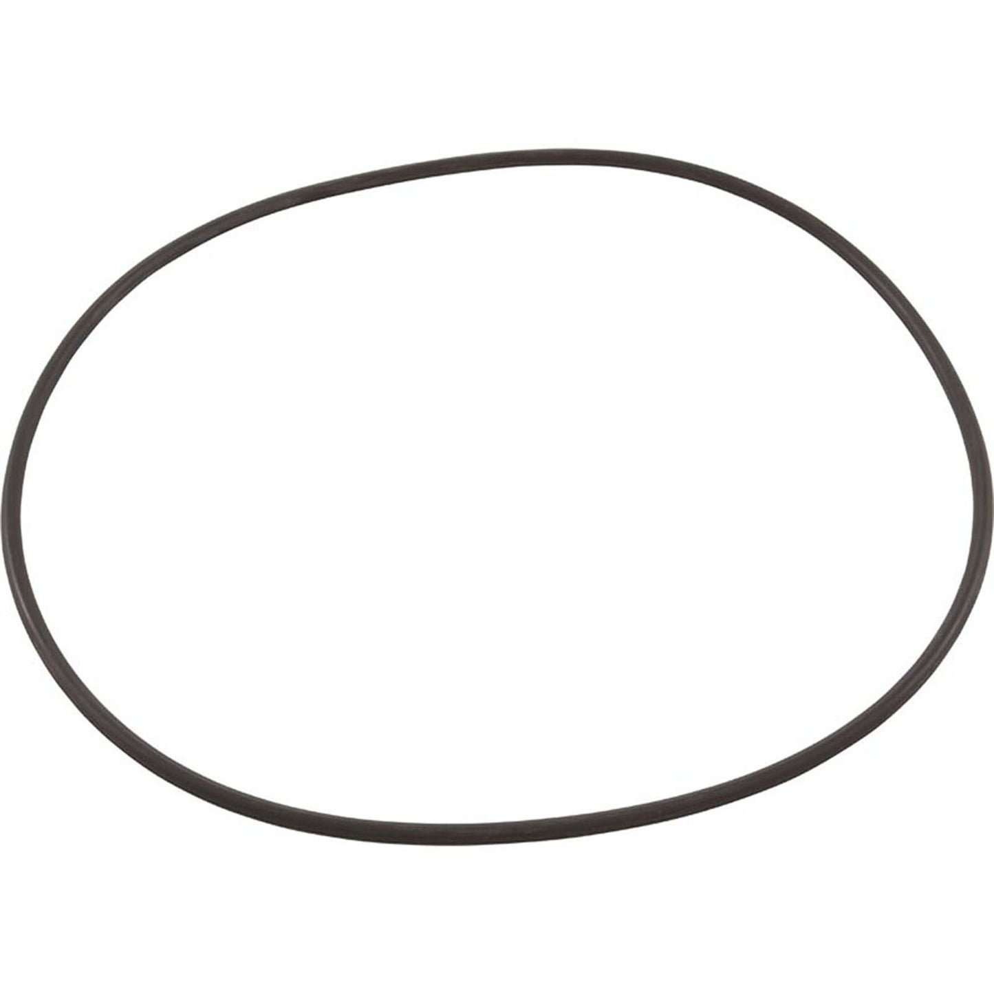 Joint torique U9-169 de Pentair