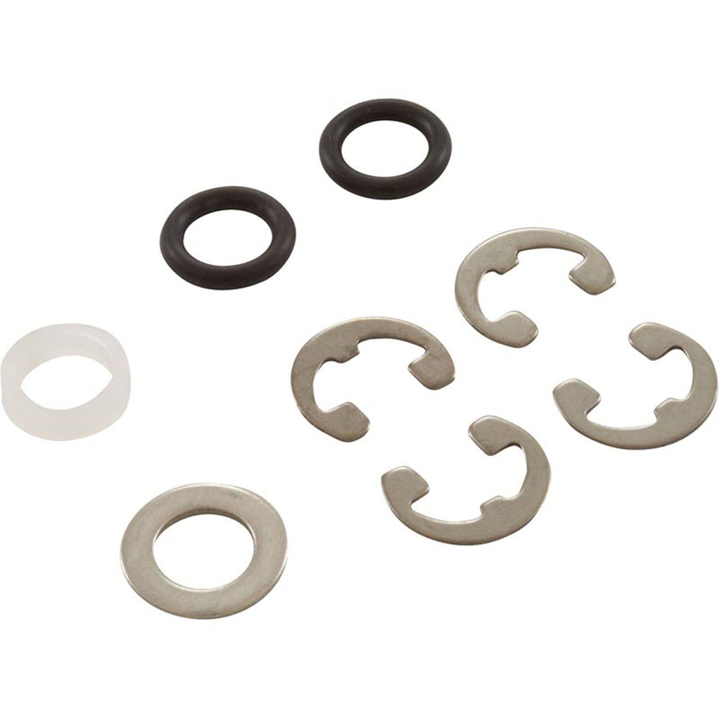 Piston Kit, Hayward RegenX RG450