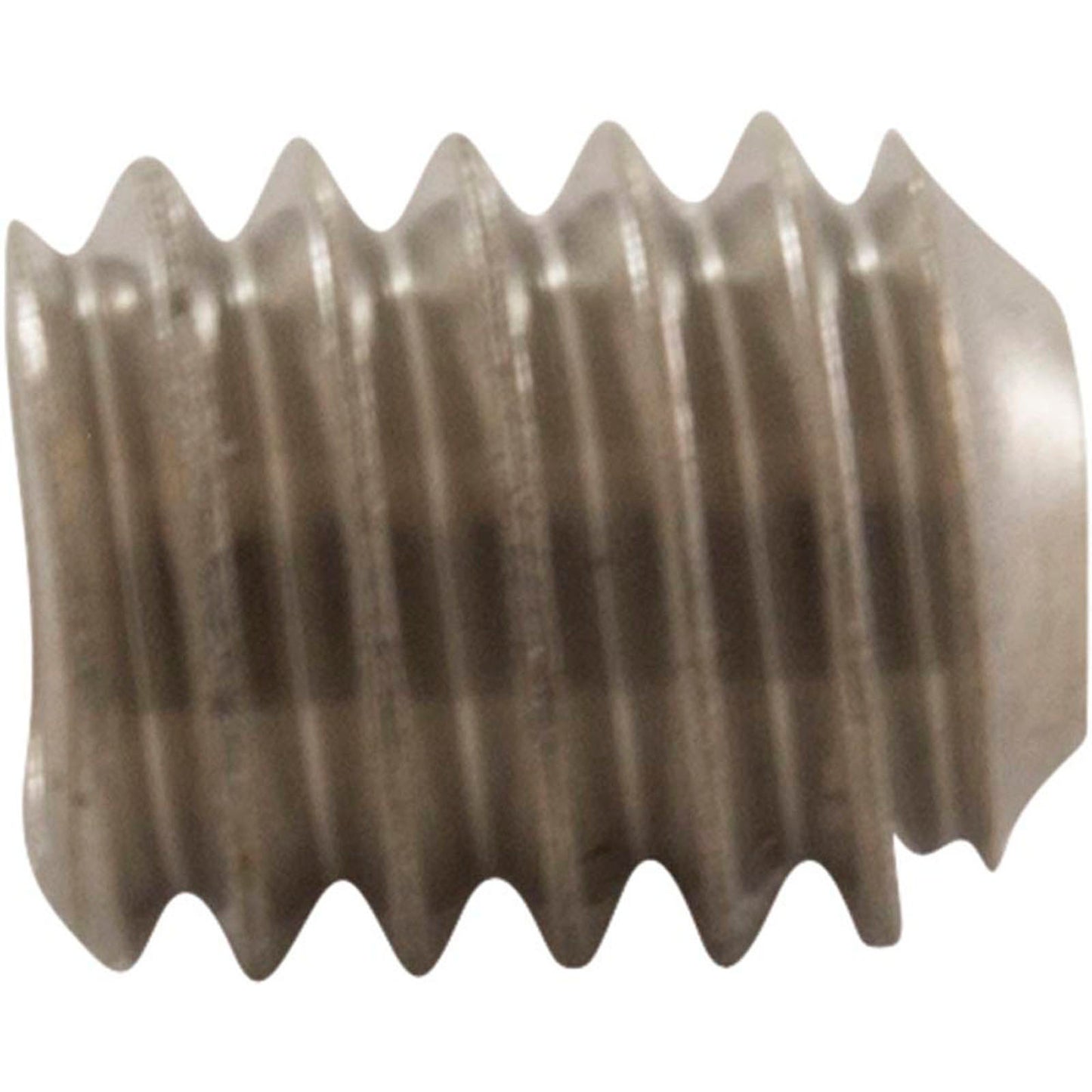 Set Screw, Anthony Apollo DE Filter, Rear End Bell, Generic